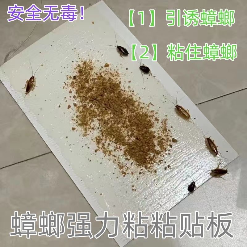 蟑螂药贴强力粘蟑螂板家用厨房蟑螂胶饵剂灭蟑螂贴纸消杀一全窝端 - 图1