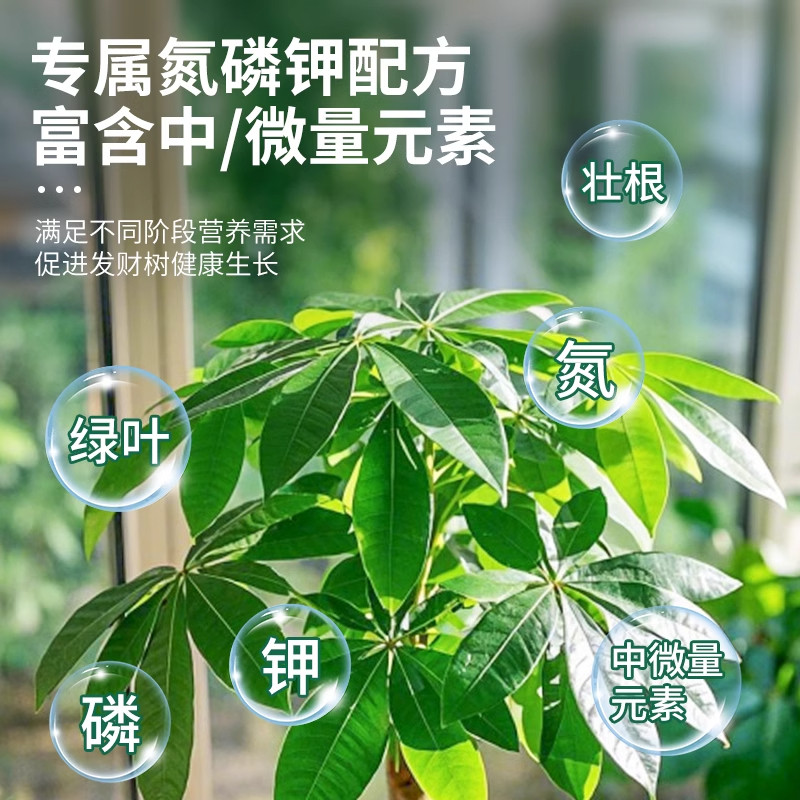 发财树专用肥专用营养液肥料稀释绿植植物室内盆栽家用通用型液体,淘宝优惠券,粉丝福利购,淘宝优惠卷