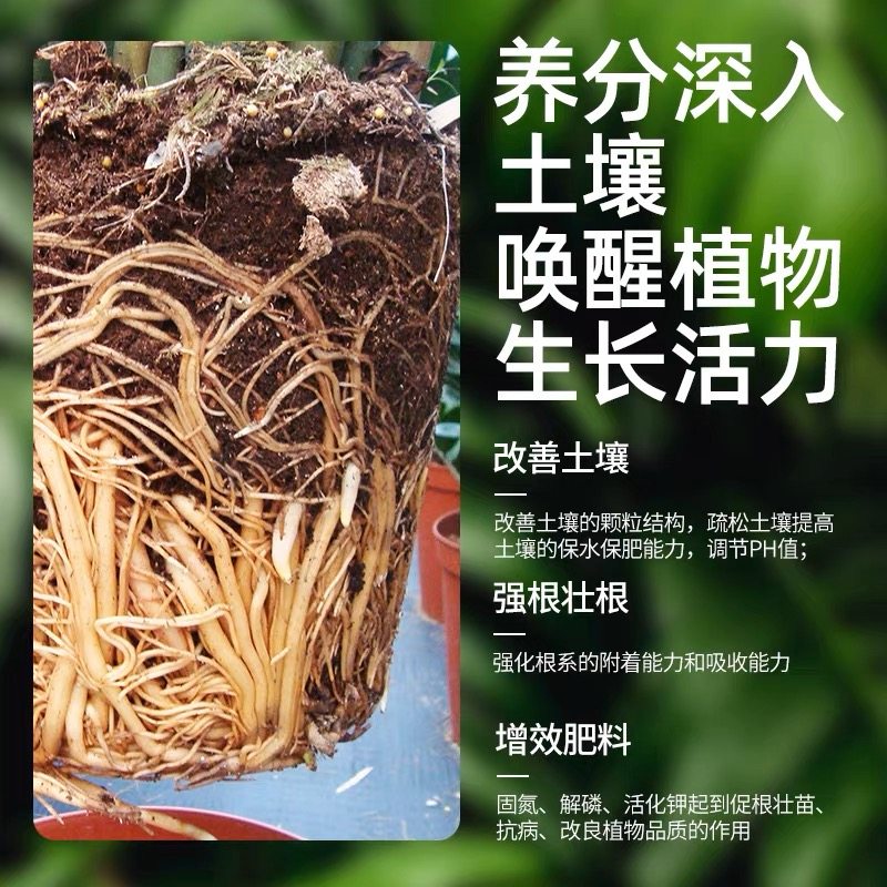 营养液植物通用型花肥发财树富贵竹绿萝水培盆栽家用花卉养花肥料,淘宝优惠券,粉丝福利购,淘宝优惠卷