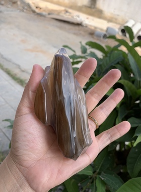 缅甸树化玉手把件高12/宽5/厚4厘米