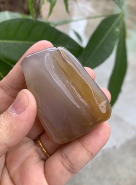 缅甸树化玉手把件高5/宽4/厚3厘米