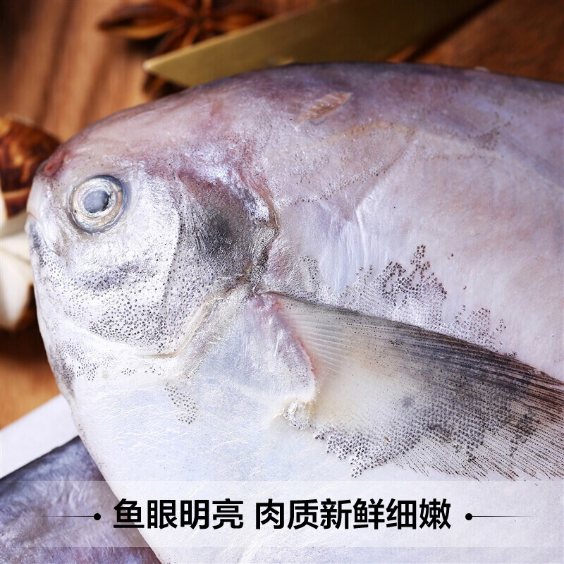 三都港东海银鲳鱼450g*2盒(6条) 平鱼深海鲜水产出口品质冷链配送 - 图1