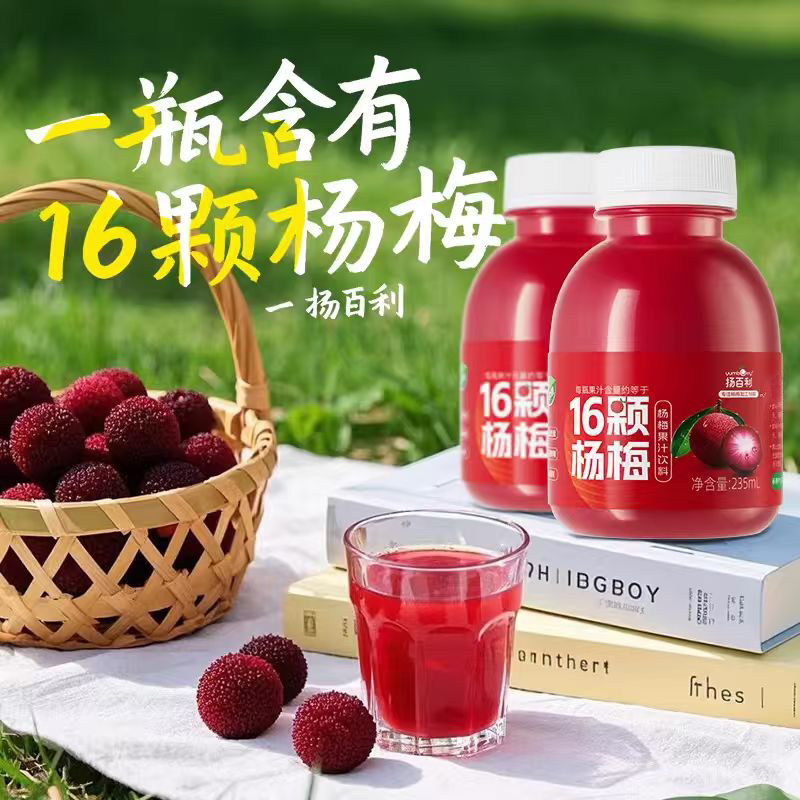 扬百利仙居杨梅汁饮品饮料245ml*6瓶果汁聚会过年送礼聚餐解腻