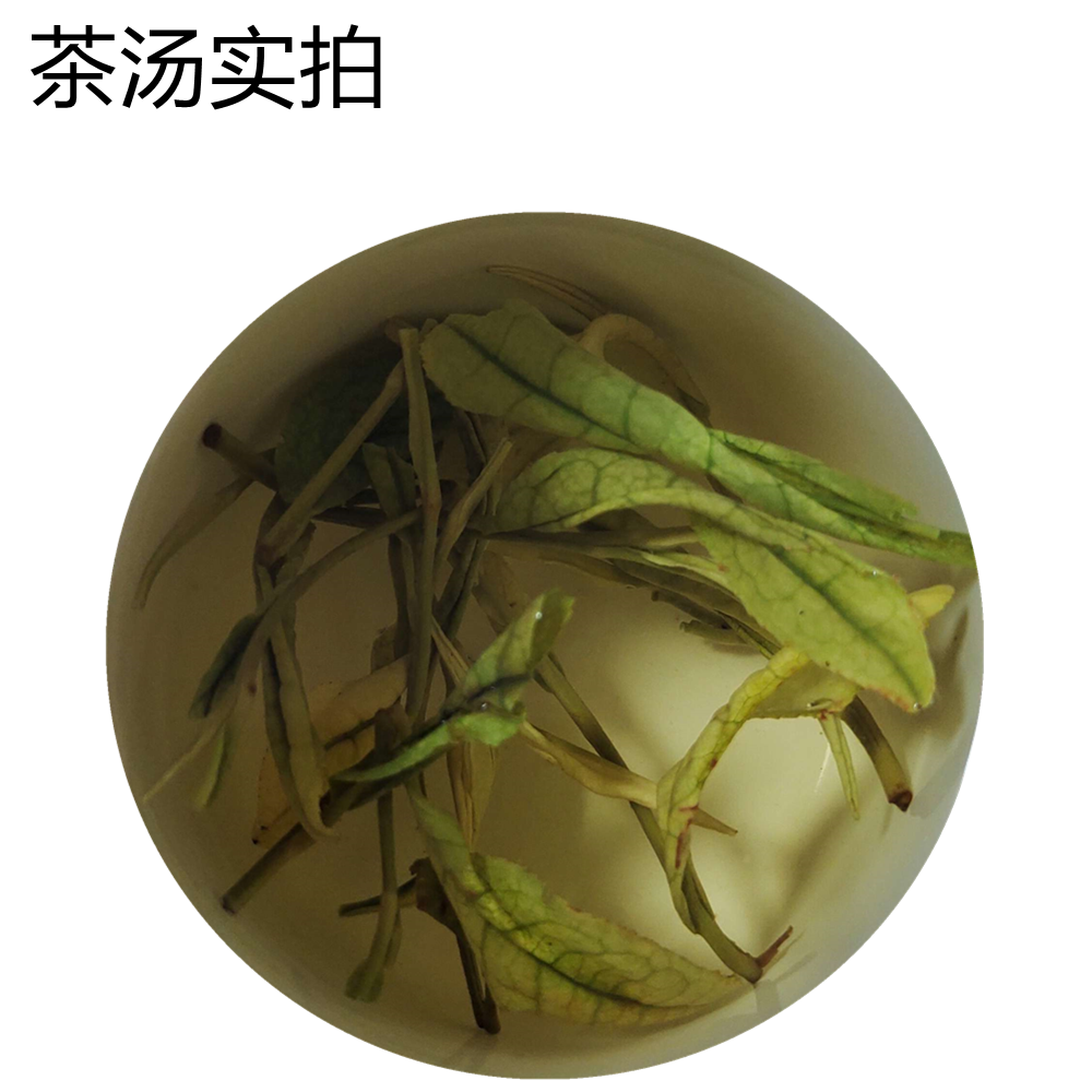 正宗安吉白茶2024年新茶上市雨前特级50g散装浓香春茶高山绿茶-图3