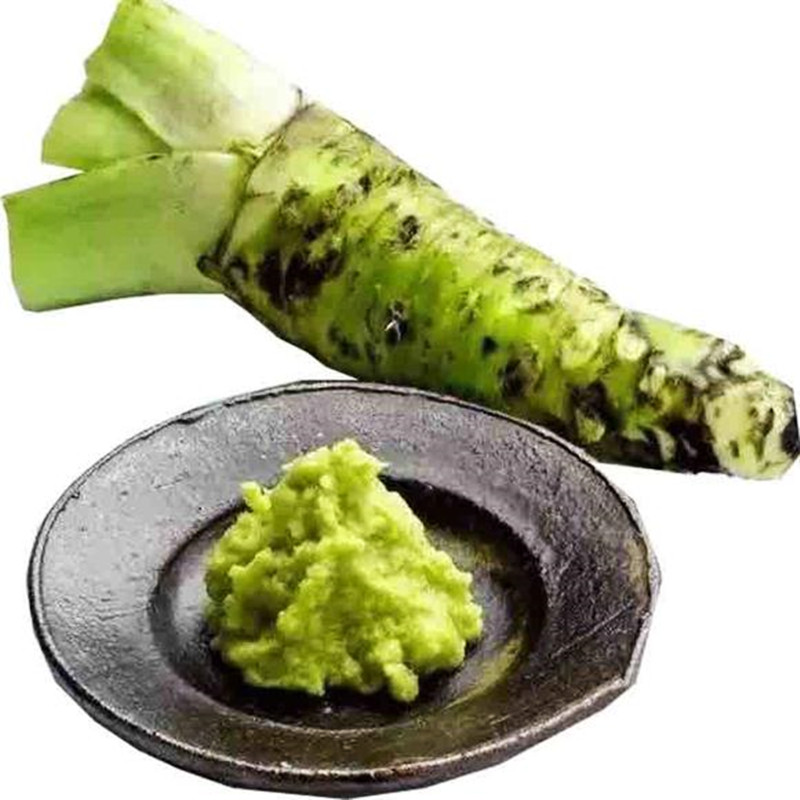 安享好物 安享A级芥末-金葵山葵酱芥末 企标