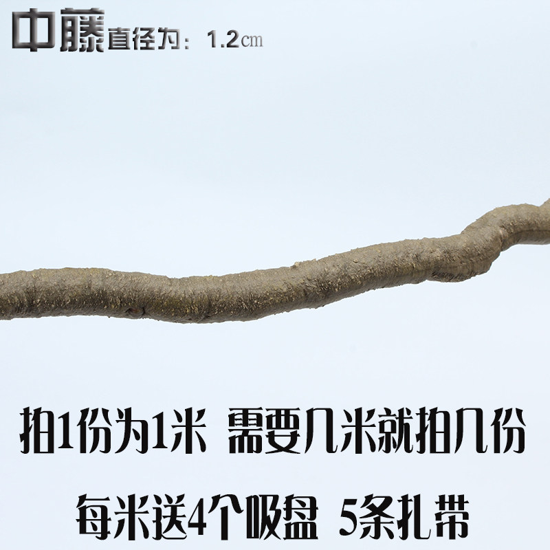 被女生踩在脚下