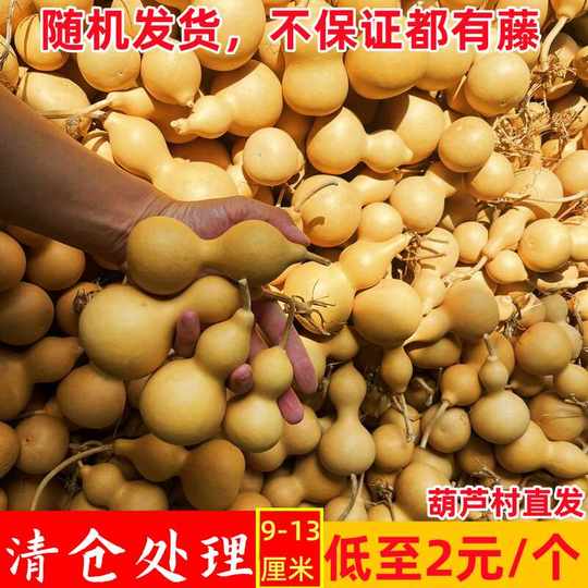 天然文把玩葫芦亚腰大小葫芦挂件摆件地摊烙画练手工学生校用批发