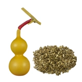 Натуральные ручные семена, проводящие в руках, средние семена тыквы среднего размера, восемь семян тыквы сокровищ, просмотр семян тыквы