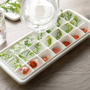 日本进口冰格冰块模具