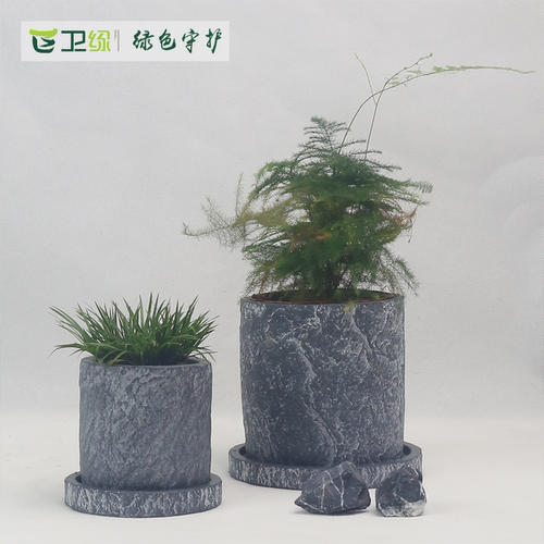 卫绿花卉室内老桩多肉植物薄荷创意复古圆柱君子兰水泥仿石头花盆 - 图0