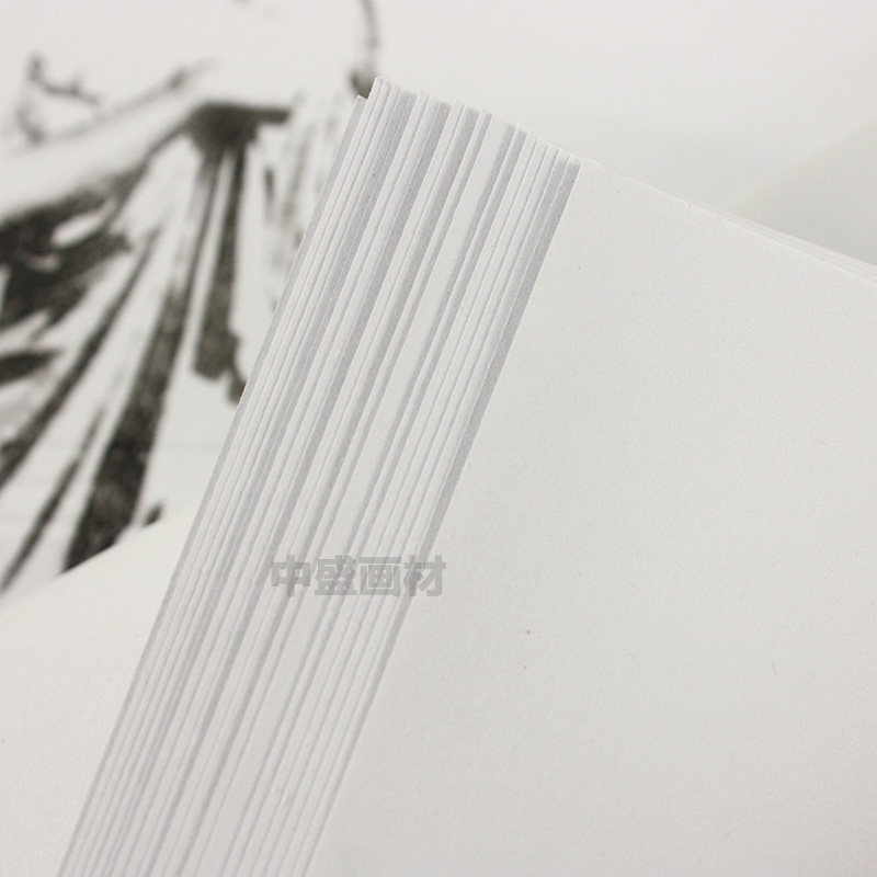 五星素描王 艺星素描纸 4K\/8K 120G 20张