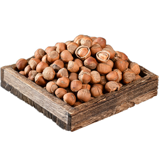 Wild Northeastern specialty hazelnuts, hazelnuts, hazelnuts shot by hand