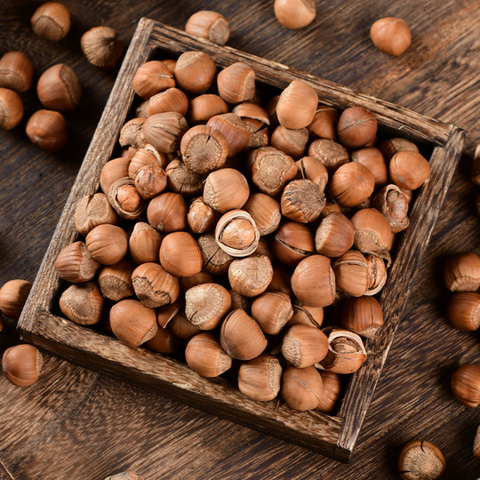 Wild Northeastern specialty hazelnuts, hazelnuts, hazelnuts shot by hand