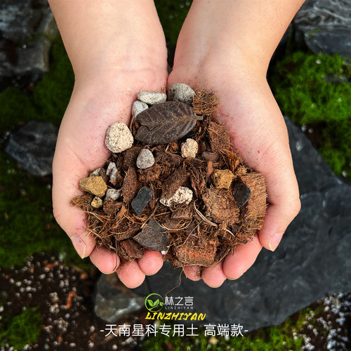天南星科热植专用龟背竹营养土蔓绿绒海芋花烛泥炭土盆栽颗粒土壤 - 图1