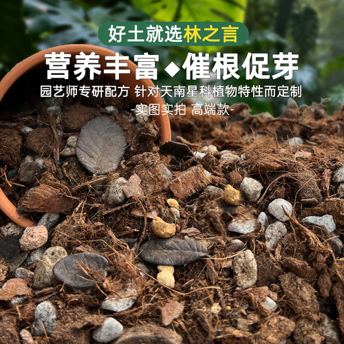 天南星科热植专用龟背竹营养土蔓绿绒海芋花烛泥炭土盆栽颗粒土壤 - 图3