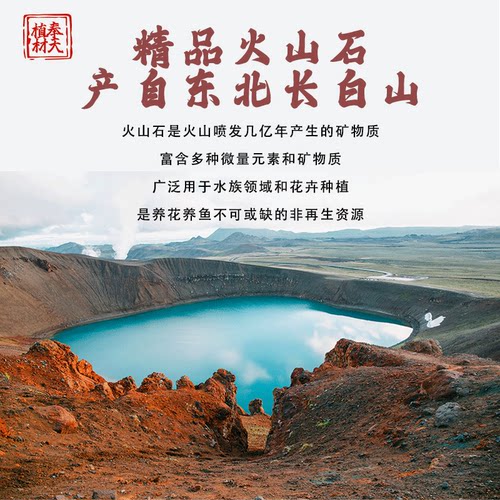 火山石颗粒兰花专用土多肉铺面石盆栽火山岩家用植料水族垫底透气 - 图0