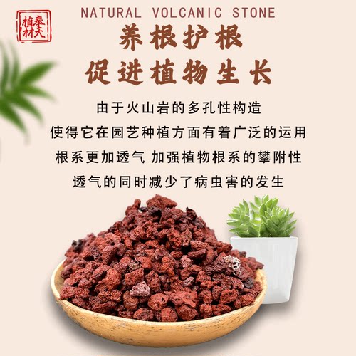 火山石颗粒兰花专用土多肉铺面石盆栽火山岩家用植料水族垫底透气 - 图2