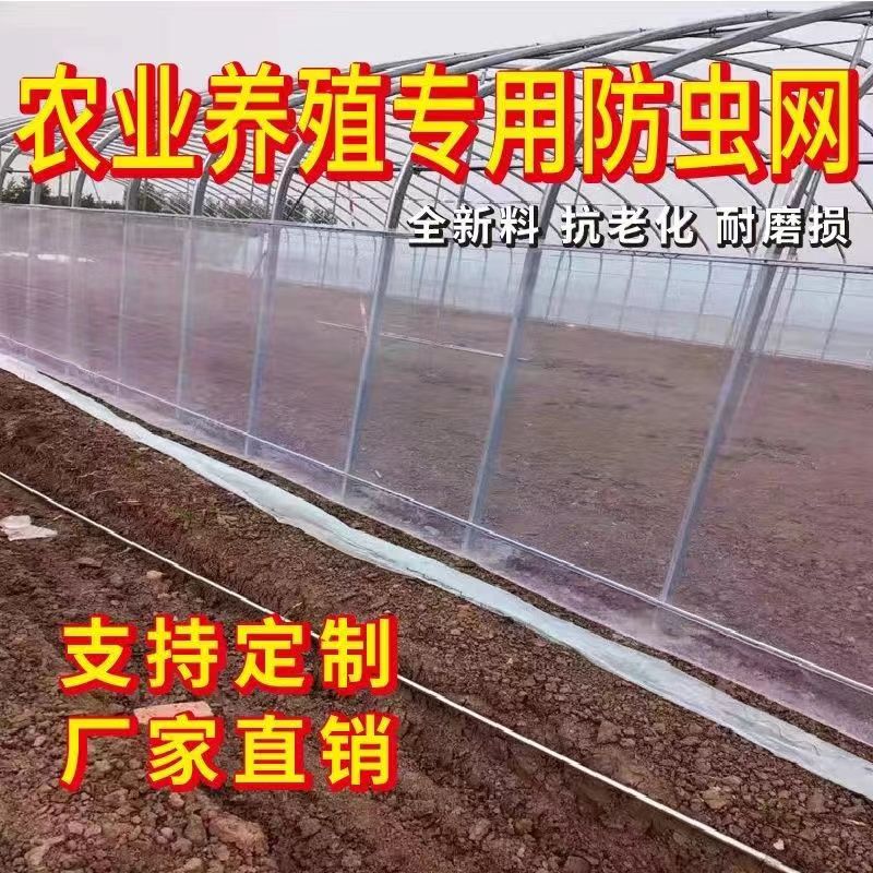 大棚防虫网农用养殖网蔬菜网蝗虫果树果园网防冰雹尼龙网加密加厚