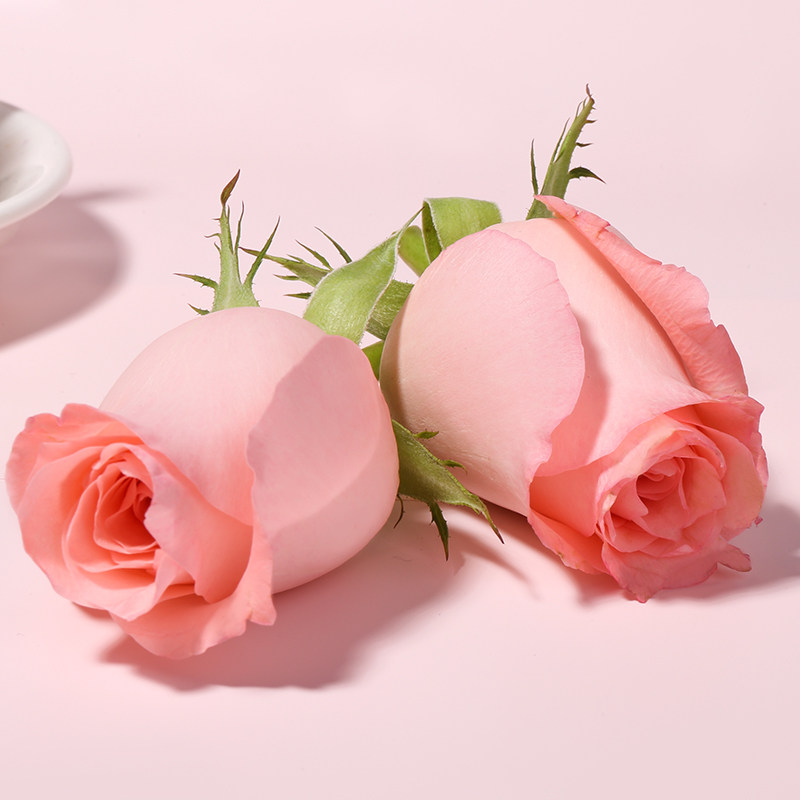 云南天然玫瑰新鲜真花花瓣粉色红色花朵花头泡澡足浴温泉牛奶泡浴,淘宝优惠券,粉丝福利购,淘宝优惠卷