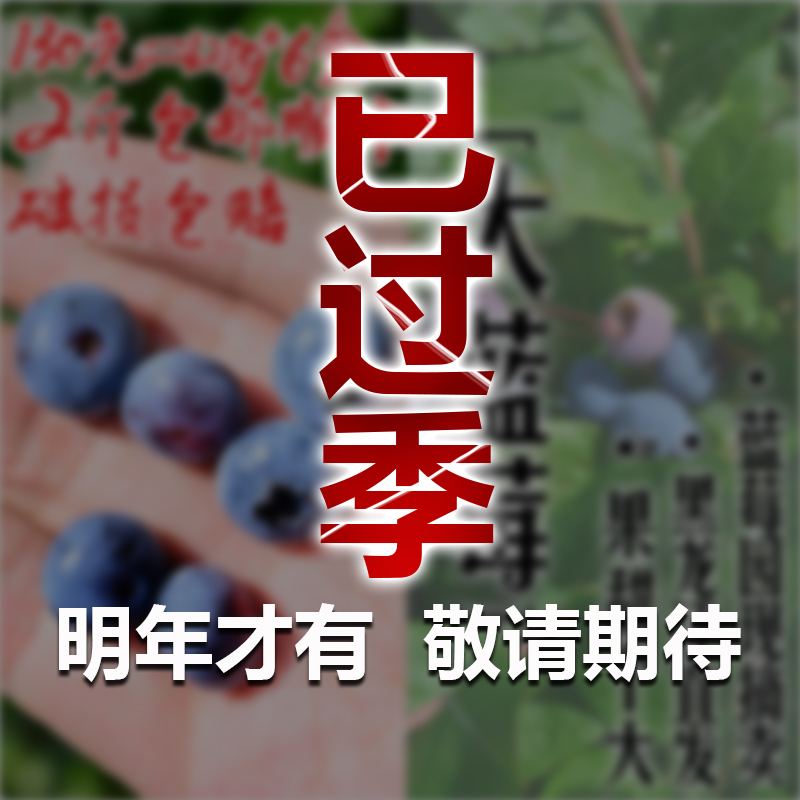 东北特产黑龙江伊春友好区大蓝莓鲜果新鲜水果8盒2.5斤顺丰包邮 - 图0