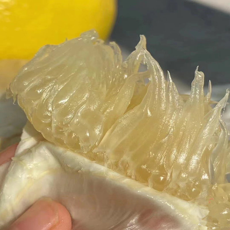 50斤正宗梅州沙田柚子金柚当季孕妇新鲜水果白心纯甜柚非广西容县,淘宝优惠券,粉丝福利购,淘宝优惠卷