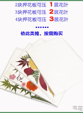 花草干燥简单标本制作工具diy