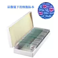 微生物显微镜 新人首单立减十元 21年8月 淘宝海外