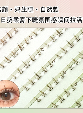 棕色向日葵下睫毛自然