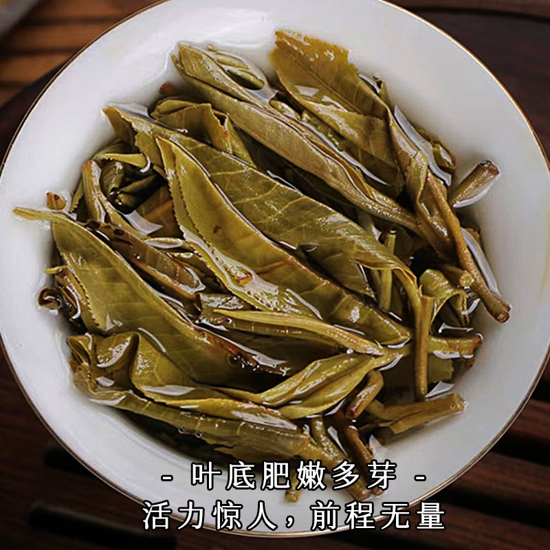 【仅剩28片】蕴品《茶王单株-砍盆箐》I类高杆单株生茶357g - 图3