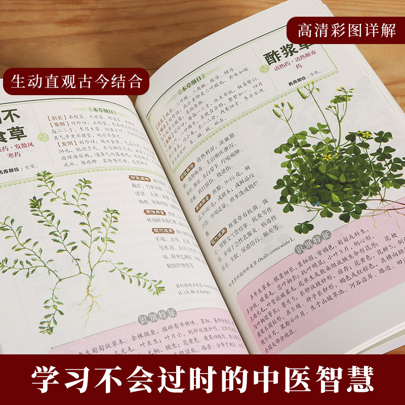 本草纲目正版李时珍原著全套白话版无删减本草纲目彩图版中医