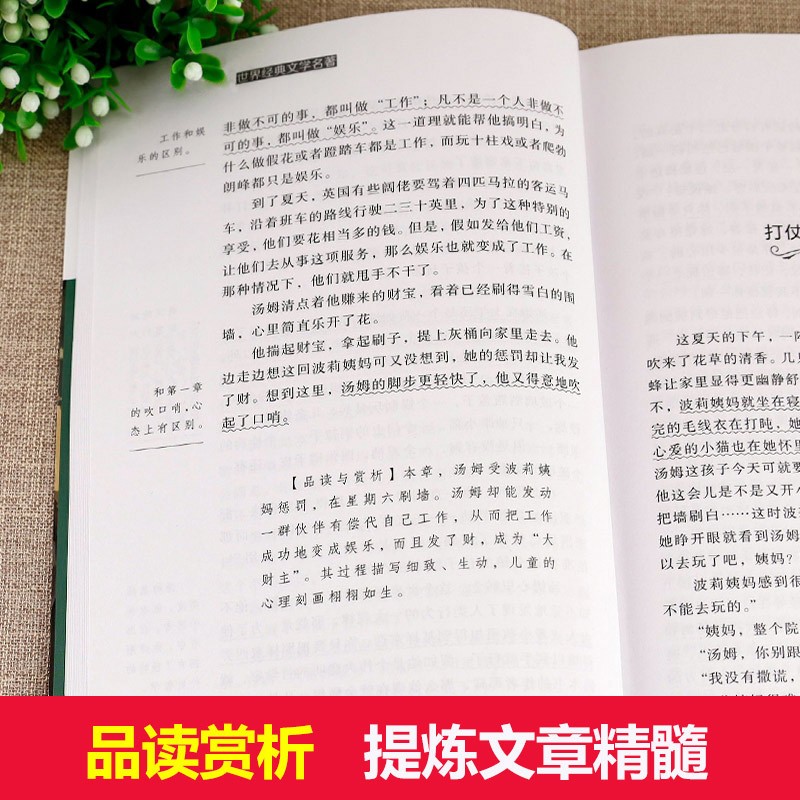 快乐读书吧六年级下册：鲁滨逊漂流记+尼尔斯骑鹅旅行记+汤姆索亚历险记+爱丽丝漫游奇境记【共4册】小学生语文课外书原著完整版 - 图1