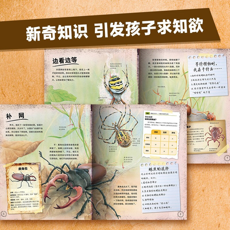 动物王国大探秘全套12册 听动物海洋生物恐龙昆虫讲故事非注音小学生三四五六课外阅读书籍3- 6-12岁少儿童科普百科全书基础阅读 - 图3