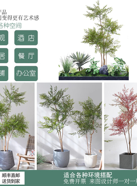 西西里大型植物盆办公室造景绿植