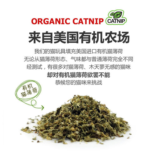 田田猫猫薄荷猫草仿真鱼猫抱枕自嗨解闷磨牙啃咬幼猫自己玩猫玩具 - 图1