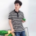 Bird 2019 hè mới áo thun nam ngắn tay áo thun cotton nam thời trang thường thêu áo polo sọc phiên bản Hàn Quốc - Polo