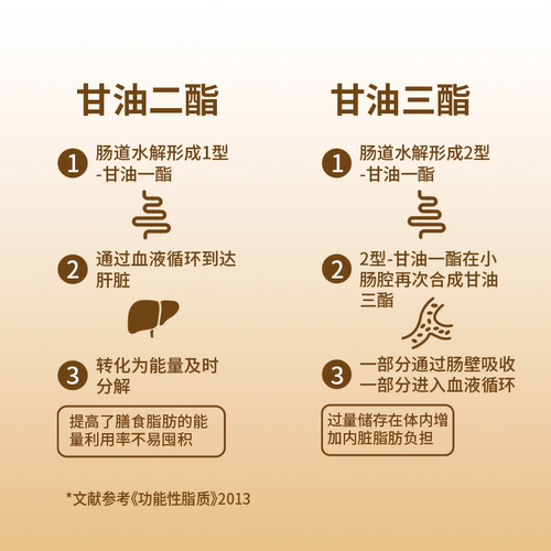 【官方正品】金浩茶油甘油二酯油食用油减负健康500ml多规格 - 图1