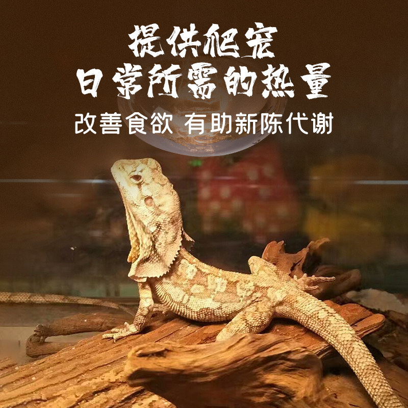 爬宠虫UVAB加热补钙日夜聚光晒背灯红外线乌龟鬃狮蜥蜴取暖保温箱,淘宝优惠券,粉丝福利购,淘宝优惠卷