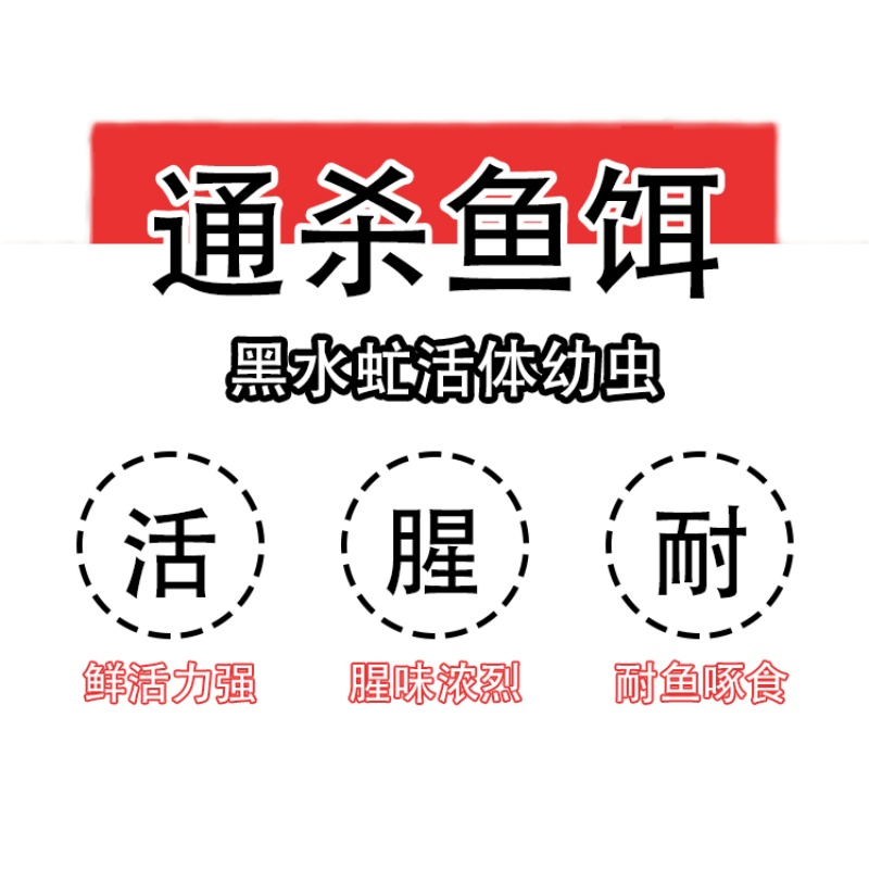 鲶鱼黄辣丁蛆虫鱼饵活虫饵料罗非白条鲤鱼活体饵黑水虻幼虫通杀型 - 图1