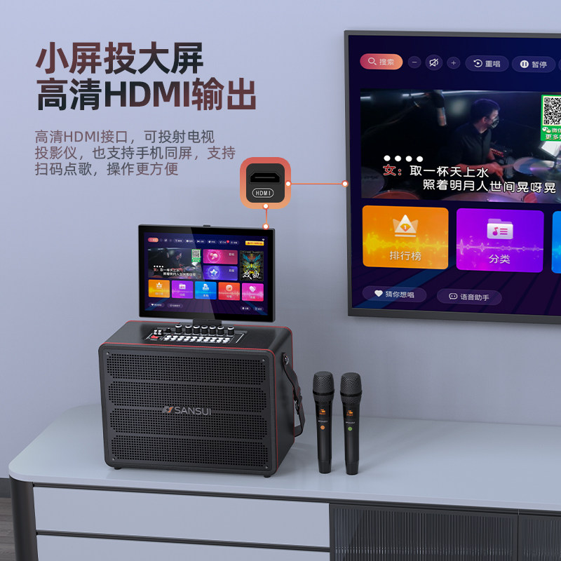  sansui九洲龙腾KTV/卡拉OK音箱