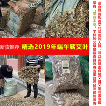 2 catties 3 years Chen Ai Ye Hubei 4-6-month-old agkistrodon Ealate afternoon Ayelet Home Bath Maternal Moon exorcie chills