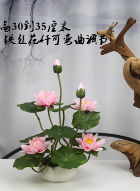供佛室内装饰莲花小盆景睡莲