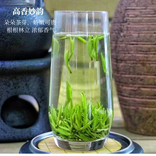 湄潭翠芽正宗绿茶特级雀舌2026新茶贵州茶叶浓香250g明前富硒茶 - 图2