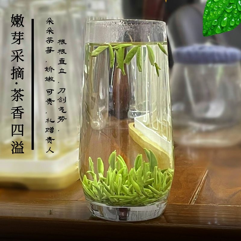 湄潭翠芽小米芽雀舌2024新茶高香明前绿茶小叶福鼎礼盒装茶叶特级 - 图2