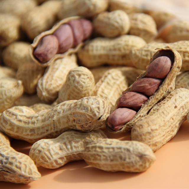 Marin five spice garlic salted dried peanuts 130g bag