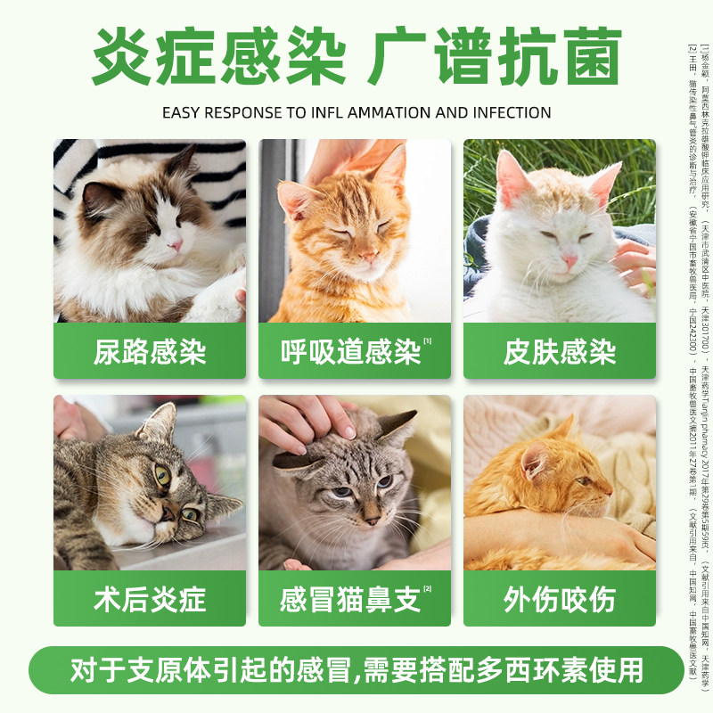 拜有利风味片犬恩诺沙星片宠物尿闭泌尿感染猫鼻支猫咪感冒消炎药,淘宝优惠券,粉丝福利购,淘宝优惠卷