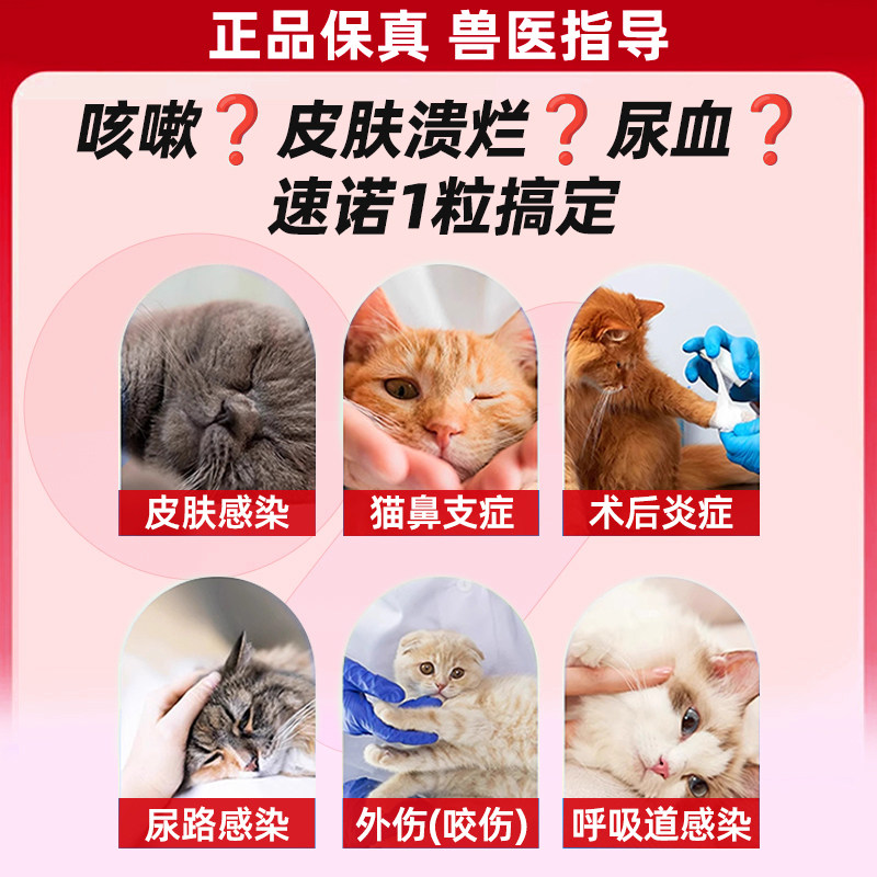 速诺消炎片猫狗阿莫西林克拉维酸钾片猫咪速诺猫咪感冒消炎药鼻支,淘宝优惠券,粉丝福利购,淘宝优惠卷