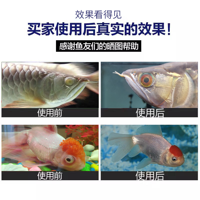 鱼药水族鱼缸专用烂身烂尾蒙眼炸鳞充血消毒杀菌锦鲤观赏鱼专用药 - 图1