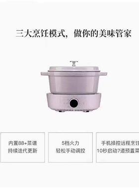 staub珐宝家用智能IH电磁炉5档简约多功能铸铁锅烹饪炉具商用便捷