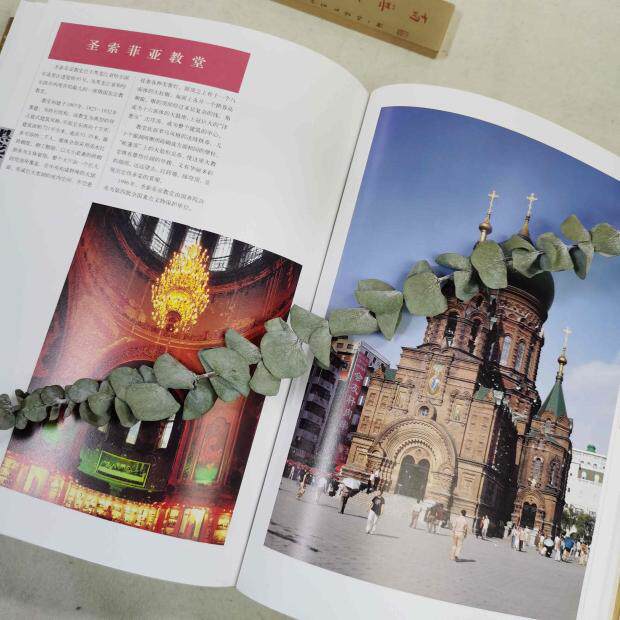 中国重点文物保护单位 1～5批三卷介绍了解1271处全国重点文物保护单位信息文物保护单位分省分地图标示位置分省分类音序索引书籍