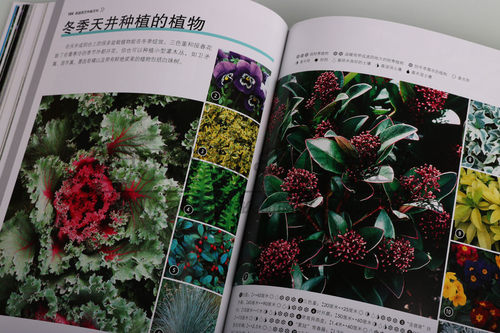 正版 家庭园艺种植百科 别墅庭院私家花园阳台天台露台景观室内绿色植物花卉花园栽培种植入门养花种花蔬菜水果北京美术摄影出版社 - 图3